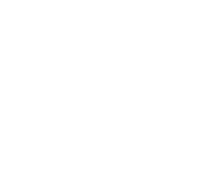 Sea Scan Maritime Foundation